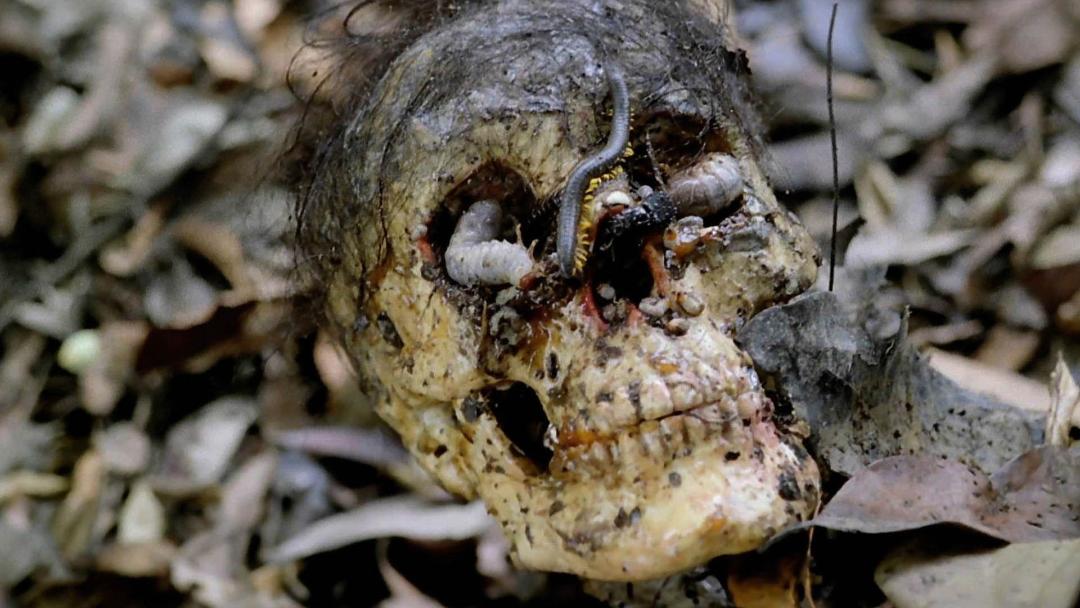فیلم Cannibal Holocaust