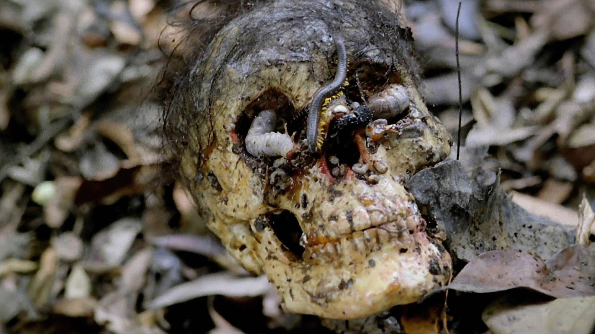 فیلم Cannibal Holocaust