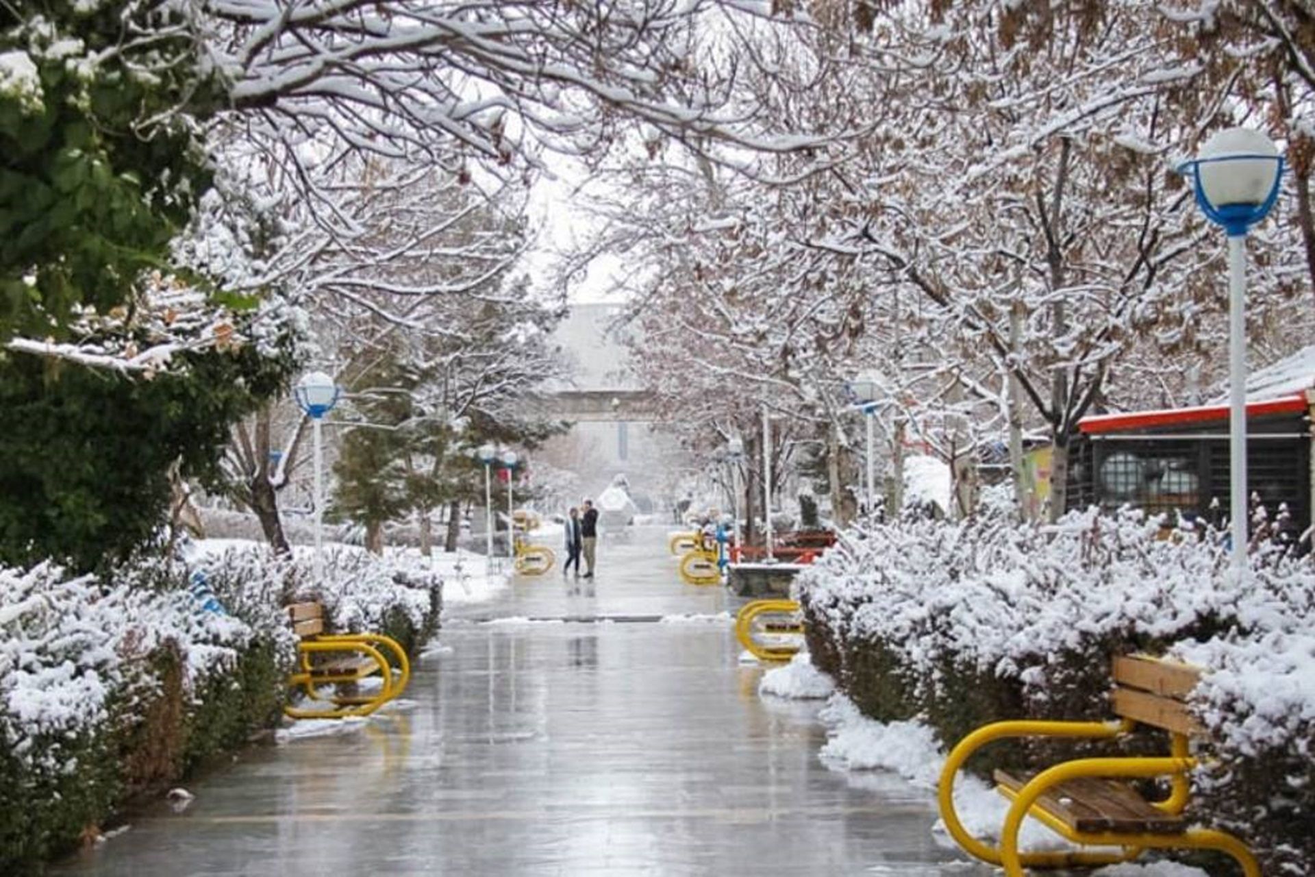 2024-6-winter-mashhad