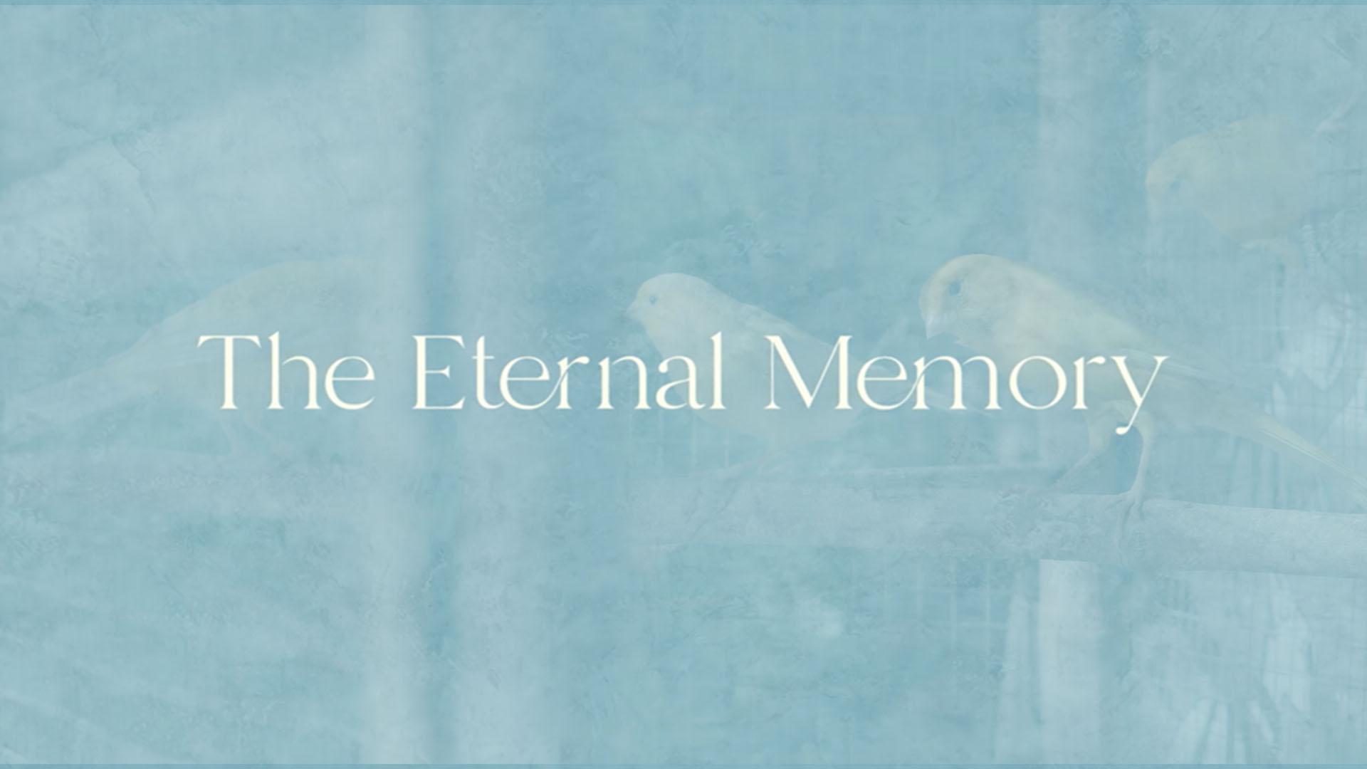 کاور مستند The Eternal Memory