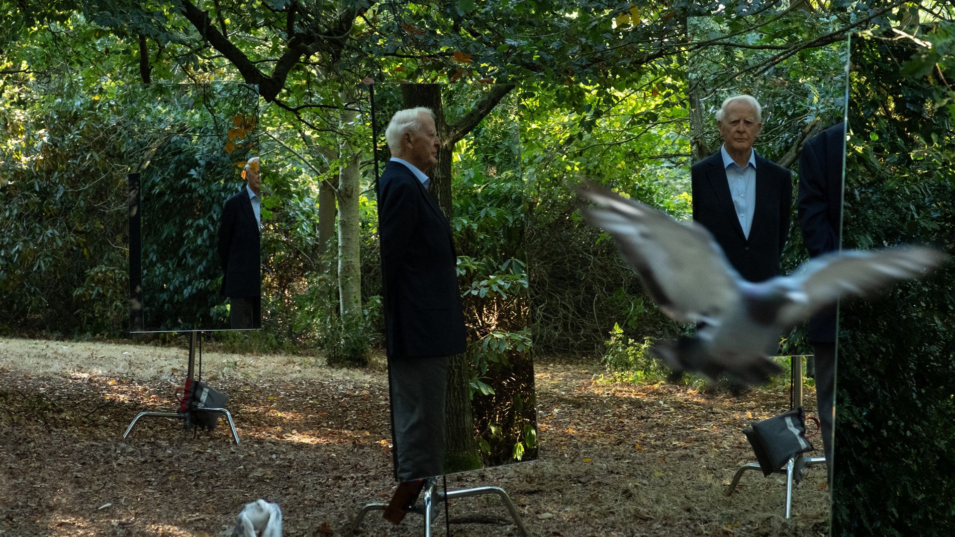 پرتره آینه‌ای جان لوکاره در مستند The Pigeon Tunnel