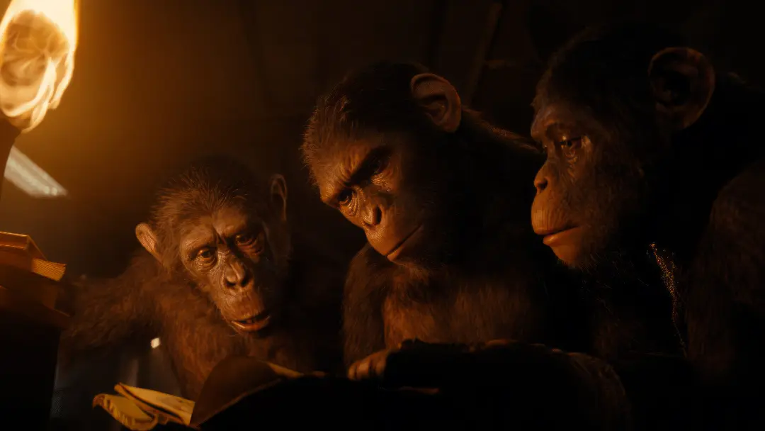 2024-8-kingdom-of-the-planet-of-the-apes-hd-wallpaper-reading-book