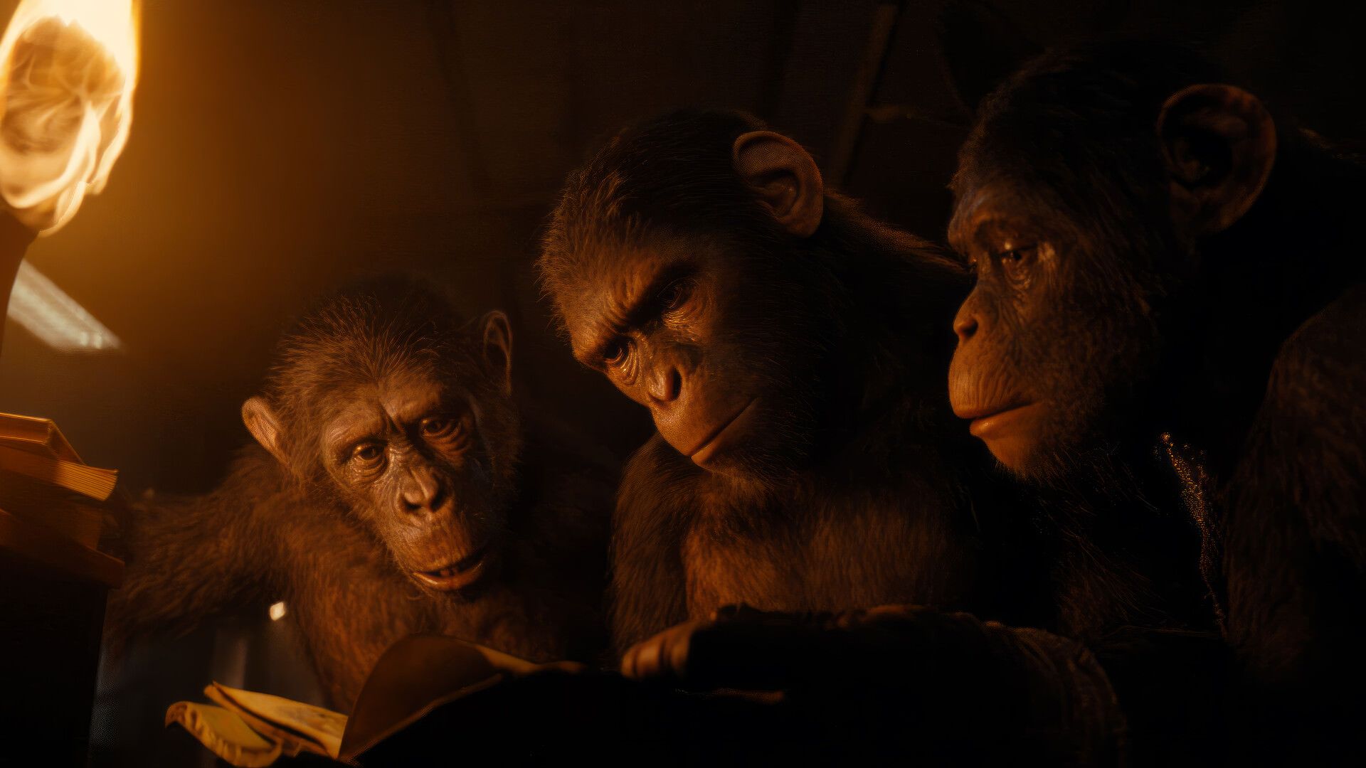 2024-8-kingdom-of-the-planet-of-the-apes-hd-wallpaper-reading-book