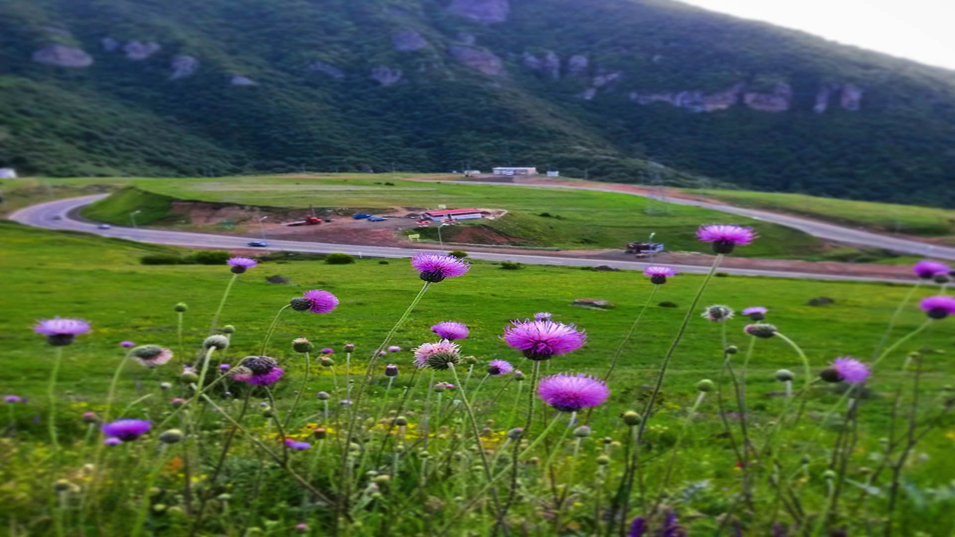تصویر دوم رپورتاژ آستارا فلای‌تودی