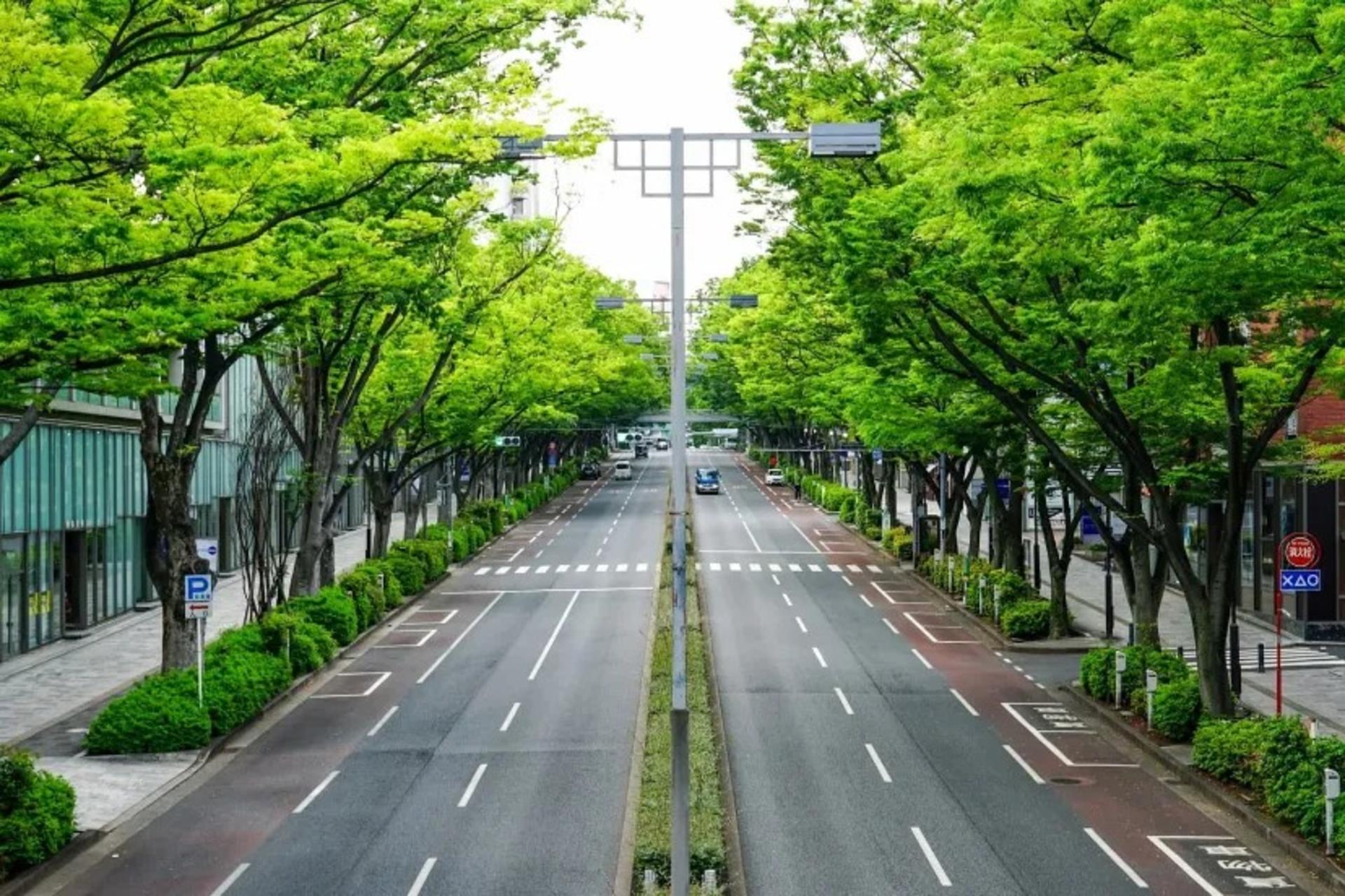 نمایی از خیابان تمیز ژاپن