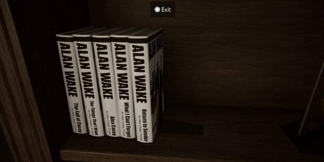 alan wake books