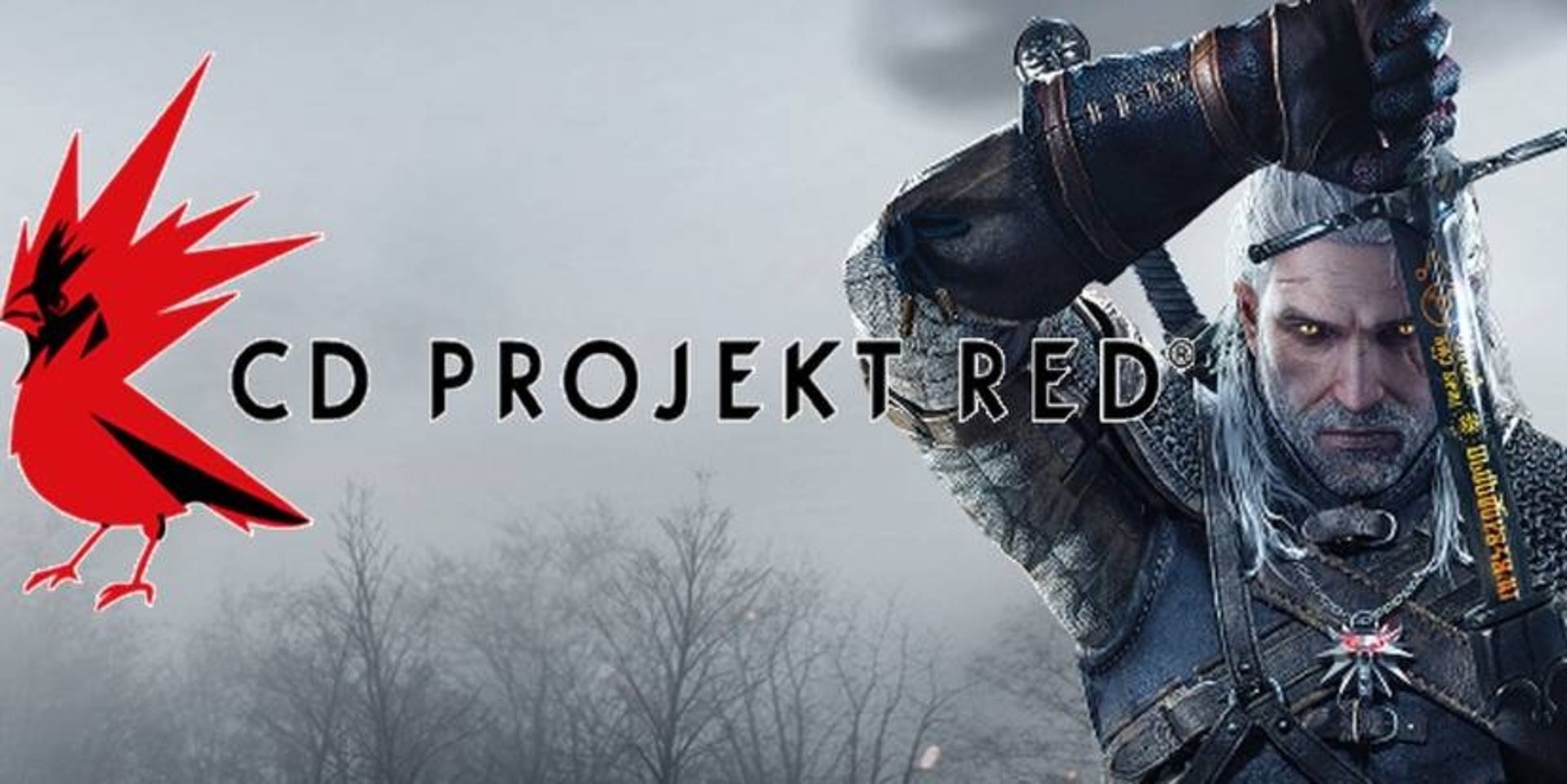 the witcher 3 wild hunts