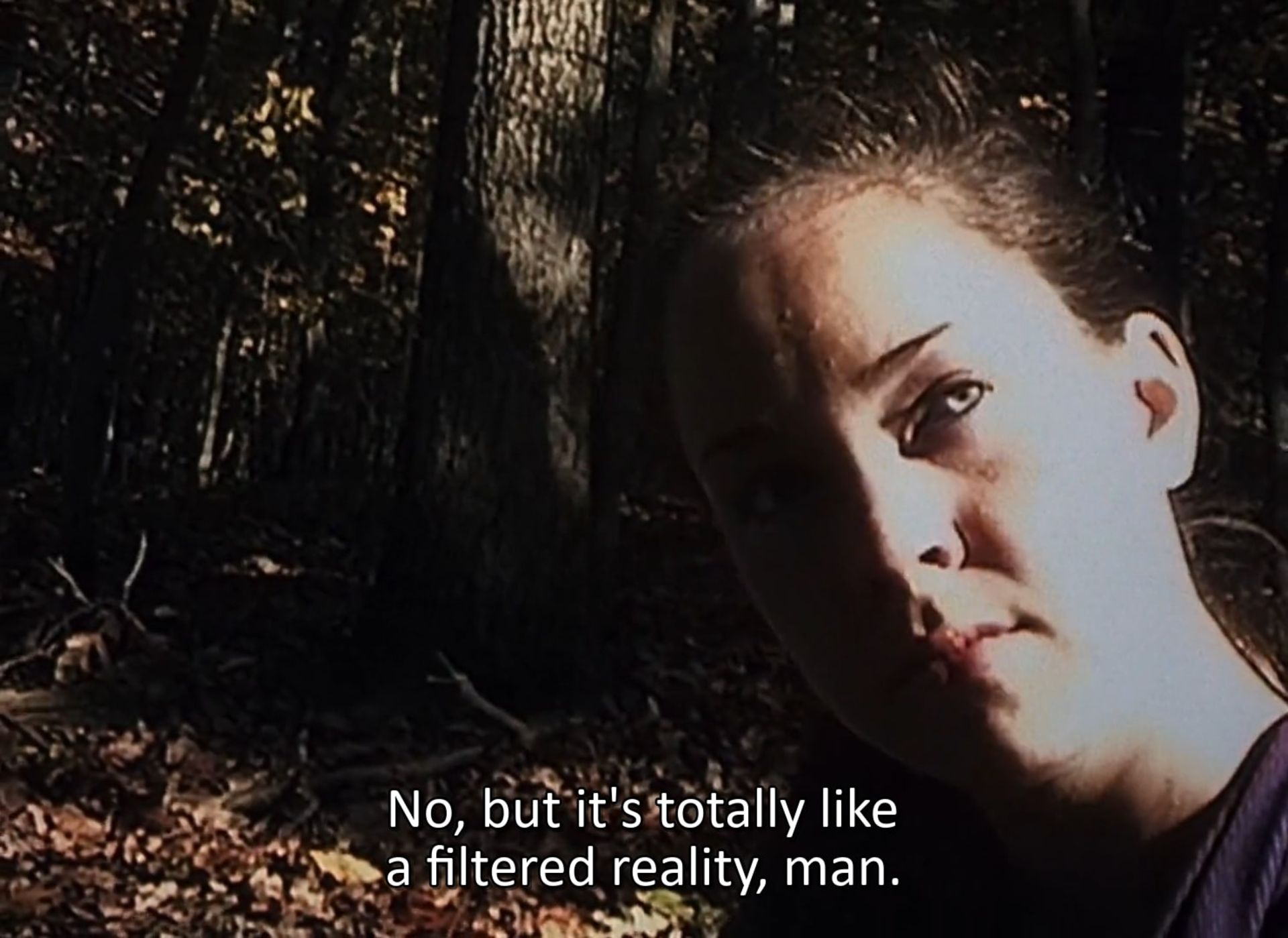 پرده‌ی میانی فیلم The Blair Witch Project