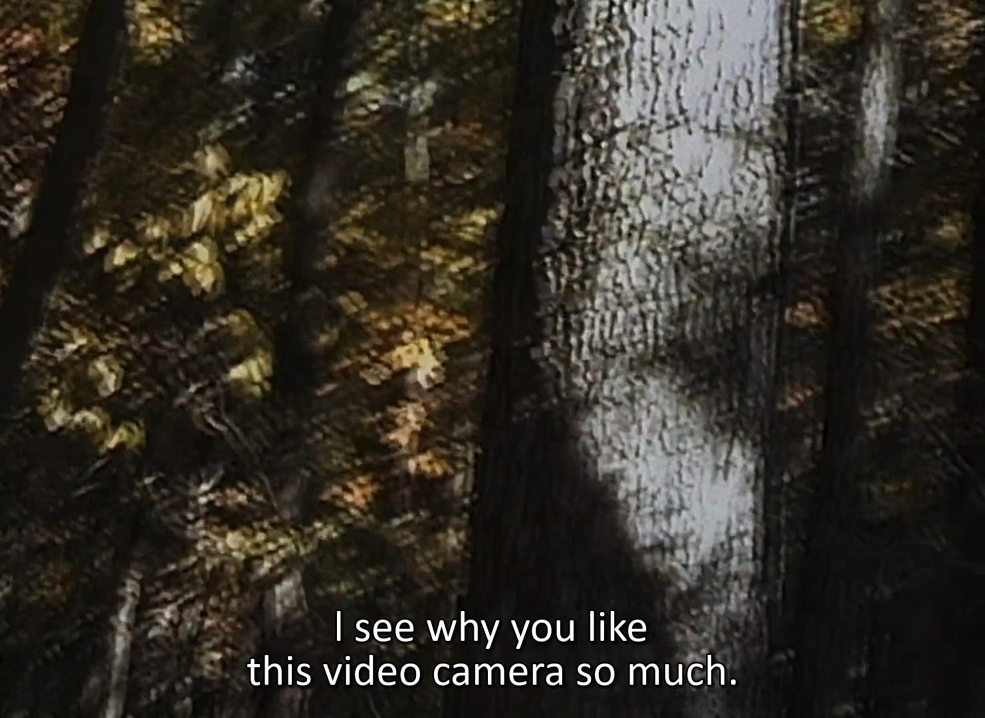 پرده‌ی میانی فیلم The Blair Witch Project
