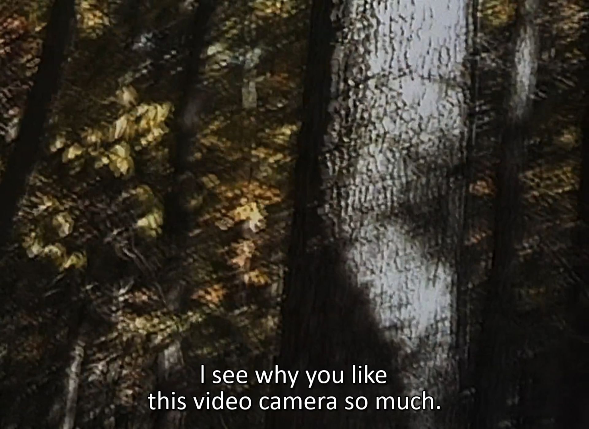 پرده‌ی میانی فیلم The Blair Witch Project