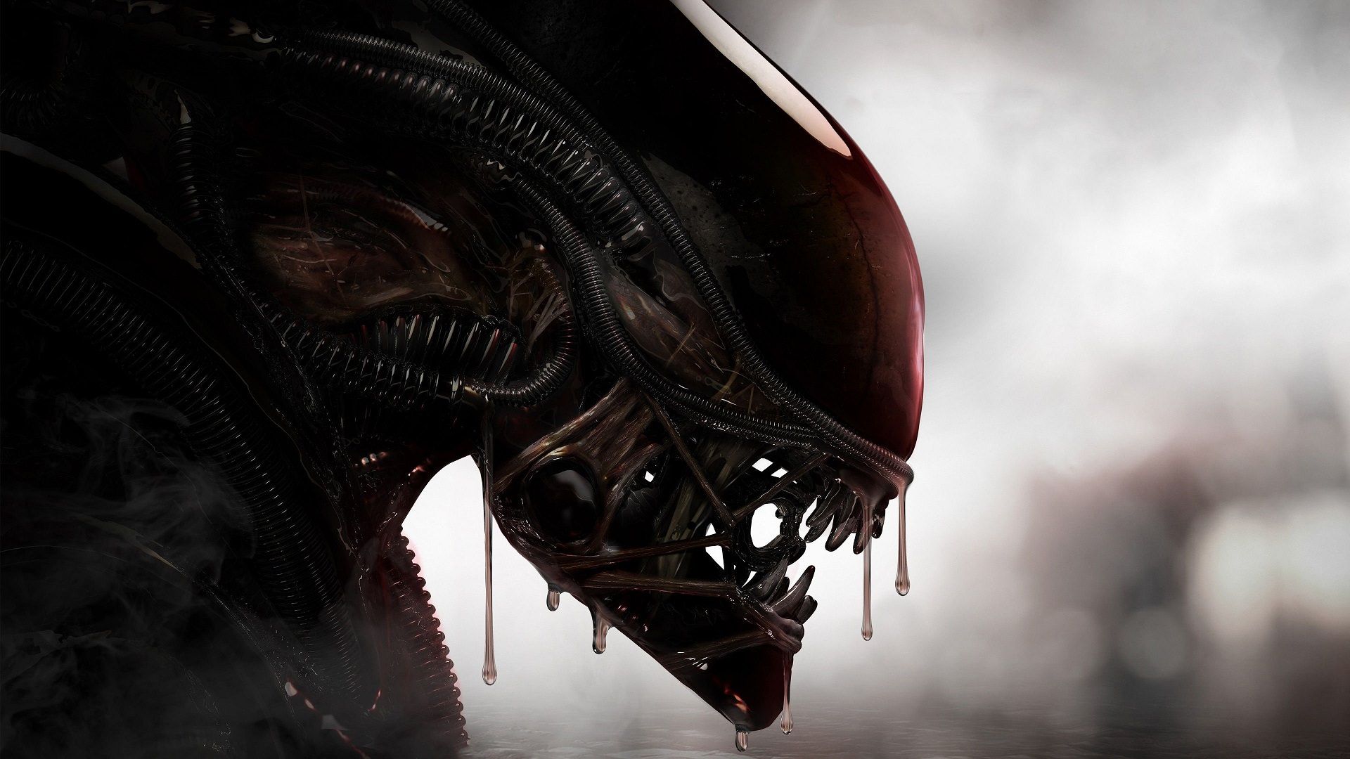 ّبیگانه در مجموعه Alien