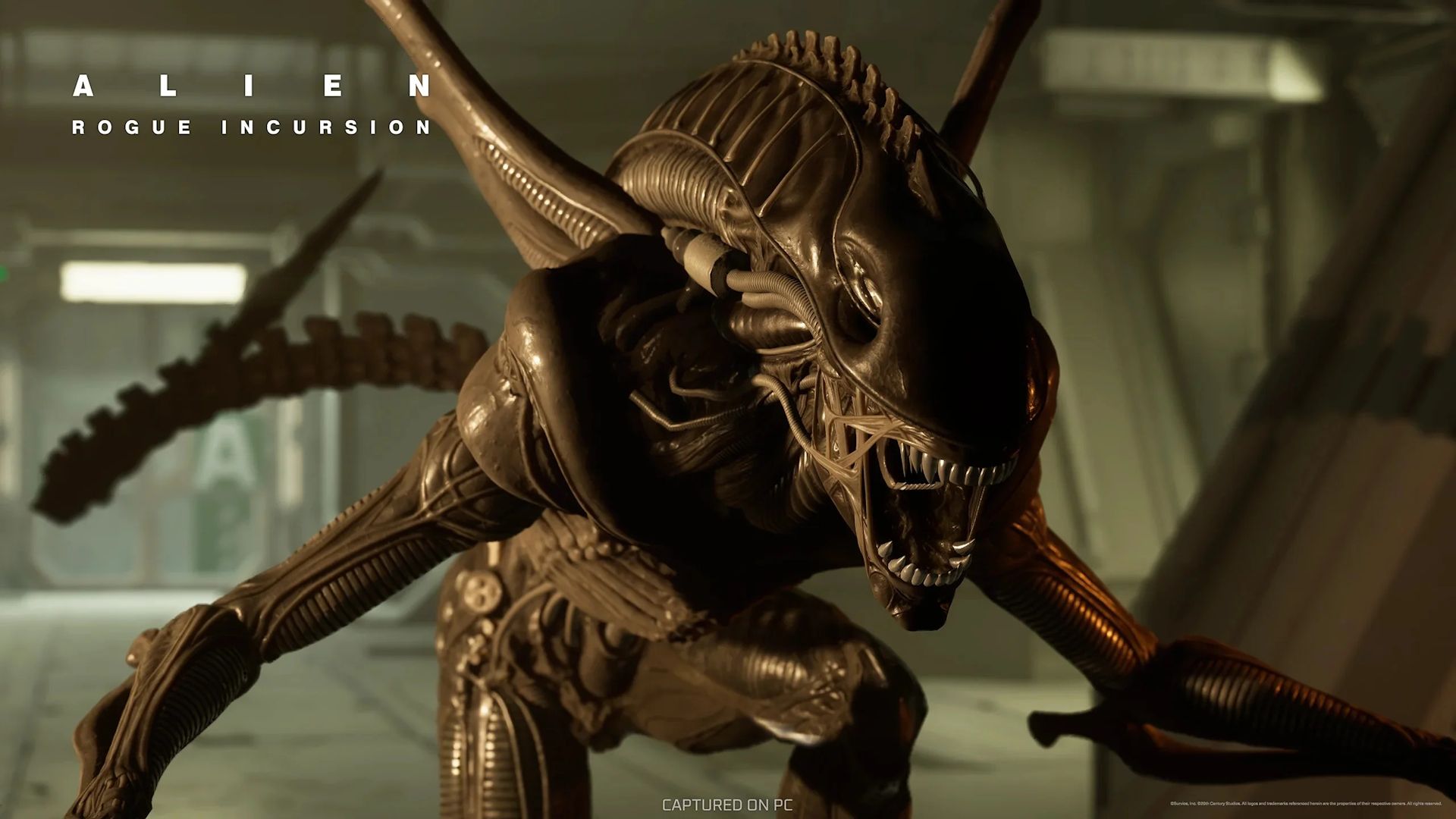اسکرین‌شات‌هایی از نسخه غیرواقعیت‌مجازی بازی Alien: Rogue Incursion