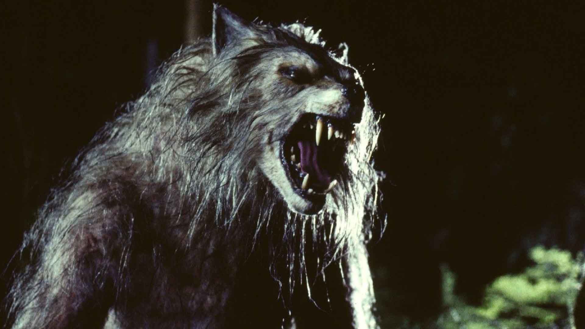گرگینه‌ای در حال غرش کردن در فیلم Bad Moon
