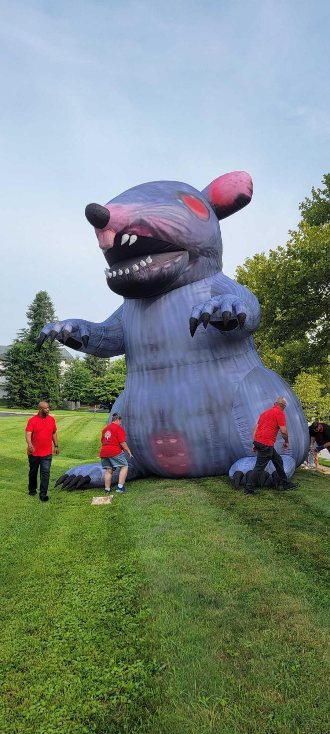 موش بادی غول‌پیکر (Giant Rat) در فضای سبز کنار کارمندان