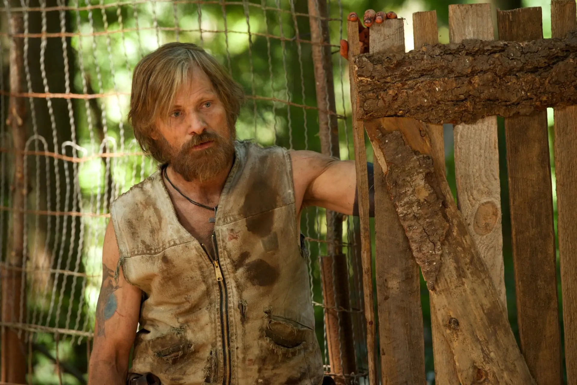 ویگو مورتنسن در حال نگاه کردن در فیلم Captain Fantastic