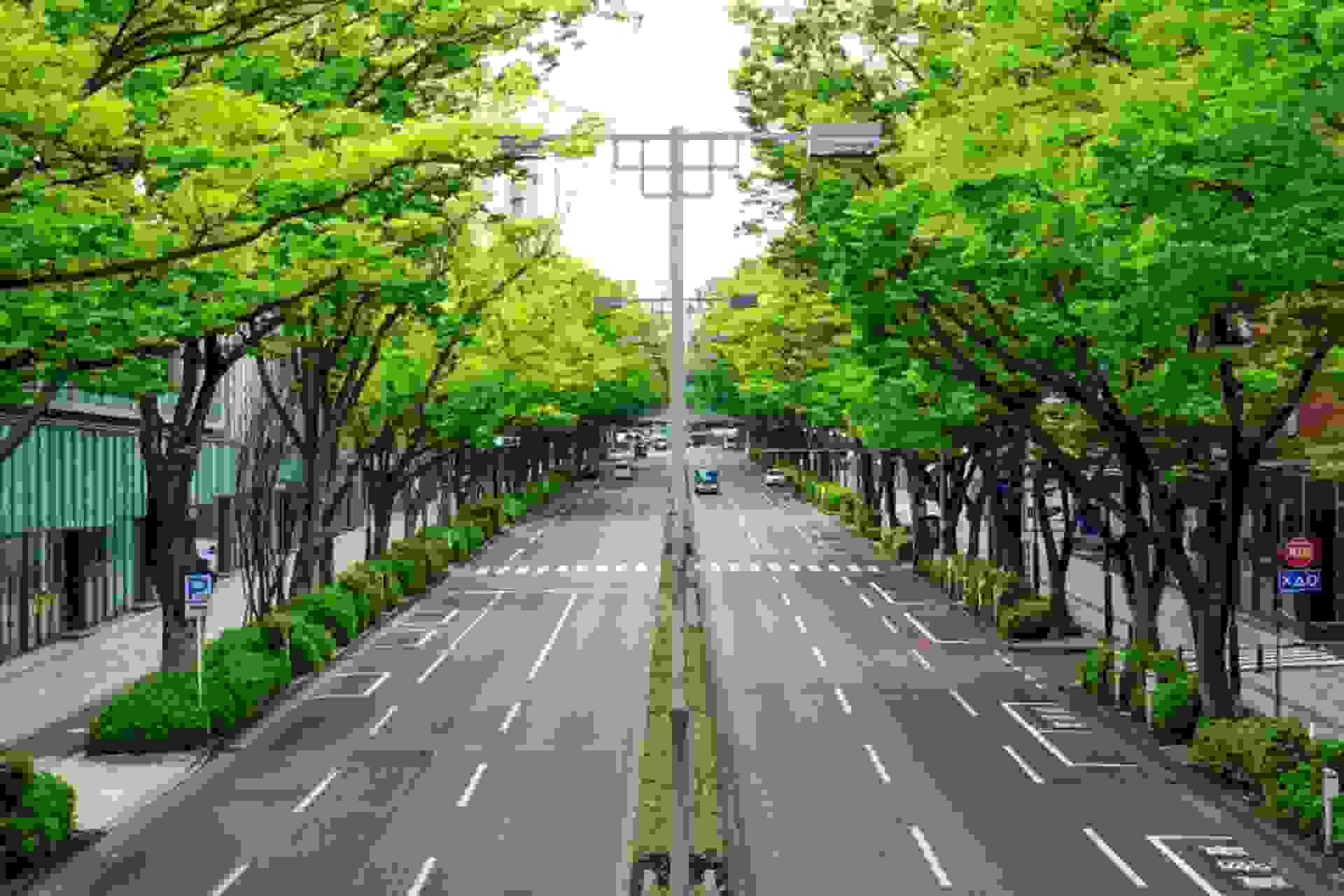 نمایی از خیابان تمیز ژاپن