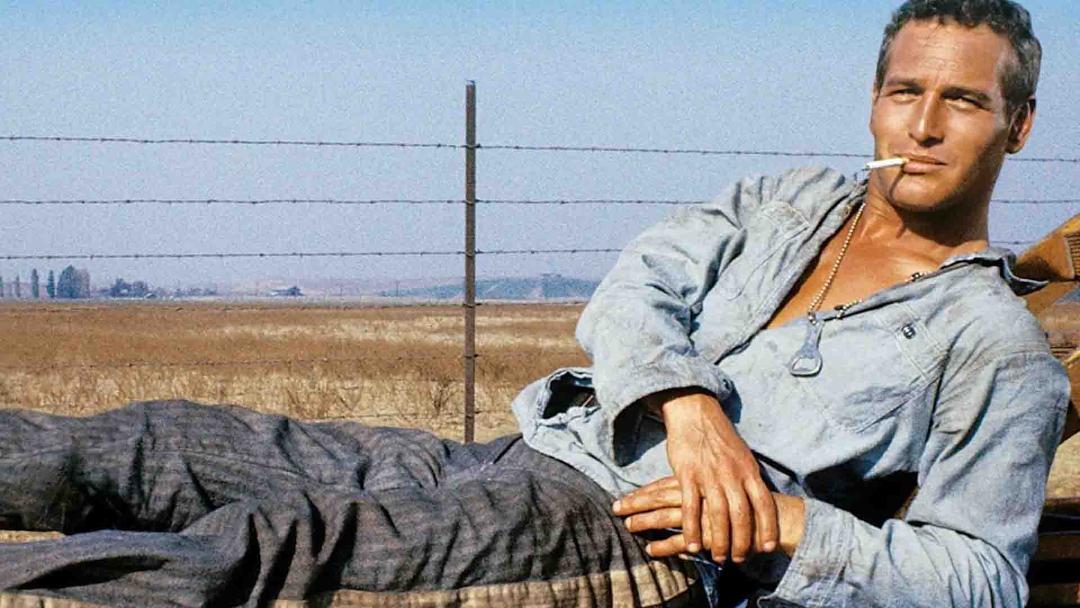 پل نیومن با یک سیگار در فیلم Cool Hand Luke