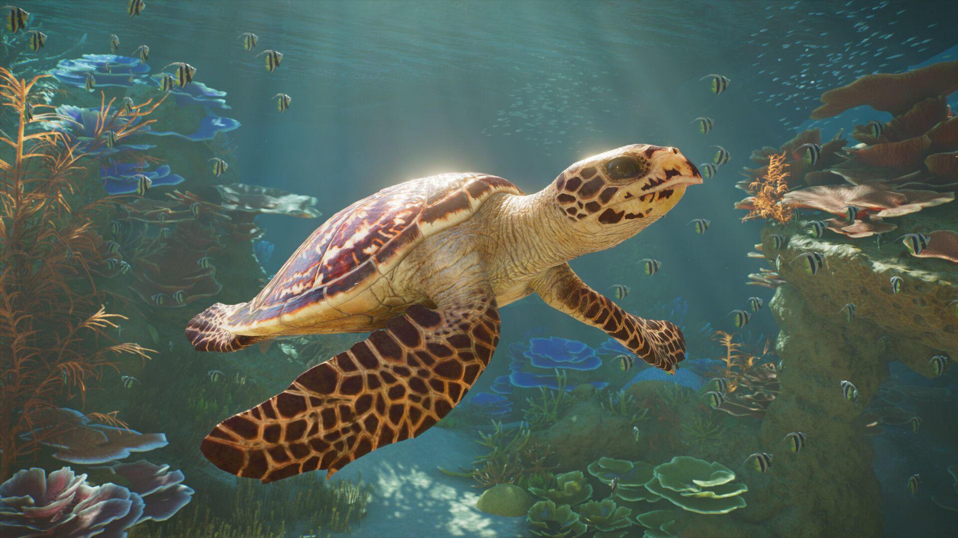 یک لاک‌پشت دریایی بزرگ در میان صخره‌های مرجانی و ماهی‌های کوچک در محیط بازی Planet Zoo 2