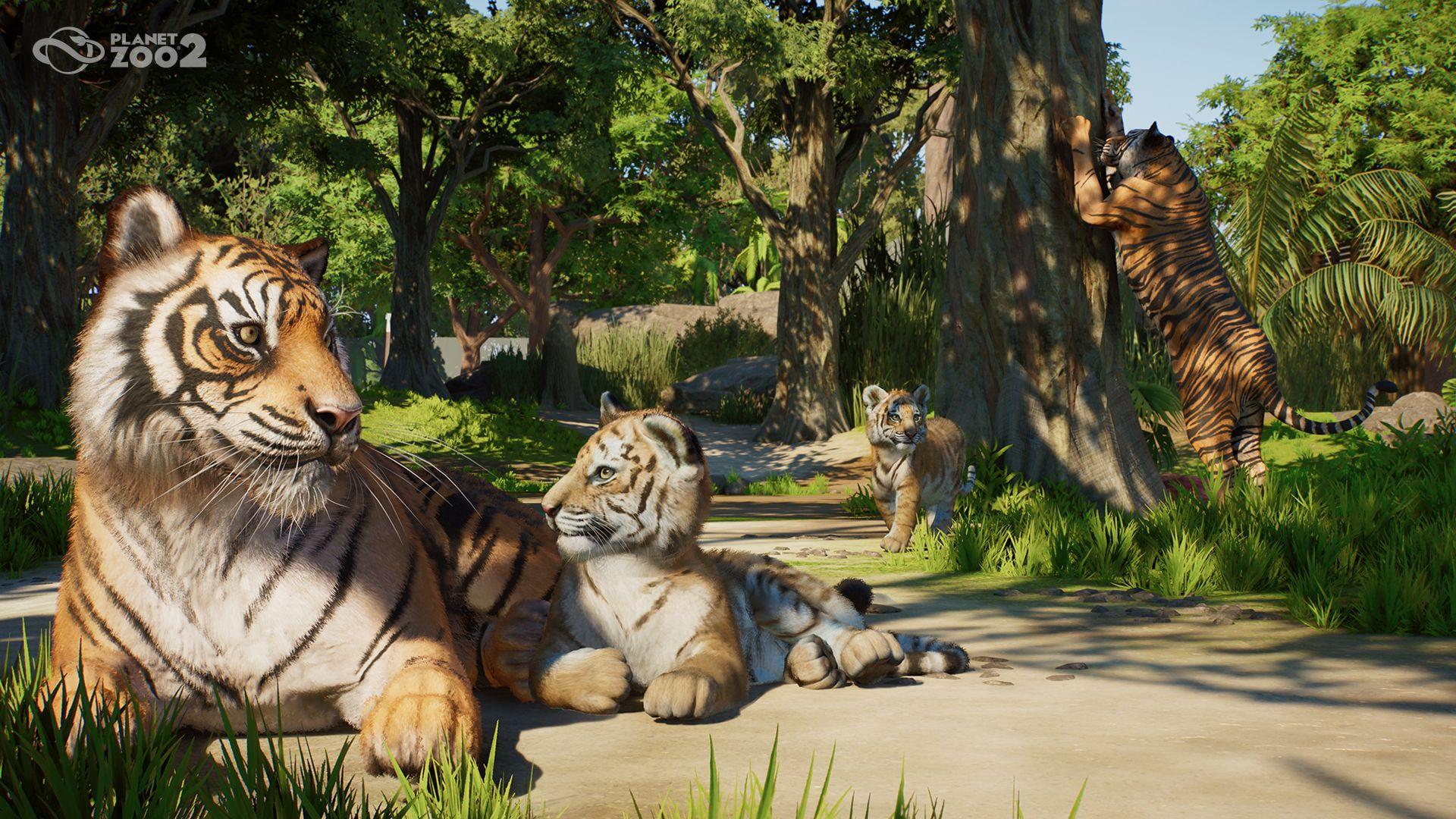 خانواده ببرهای بازی Planet Zoo 2 در محیط جنگلی
