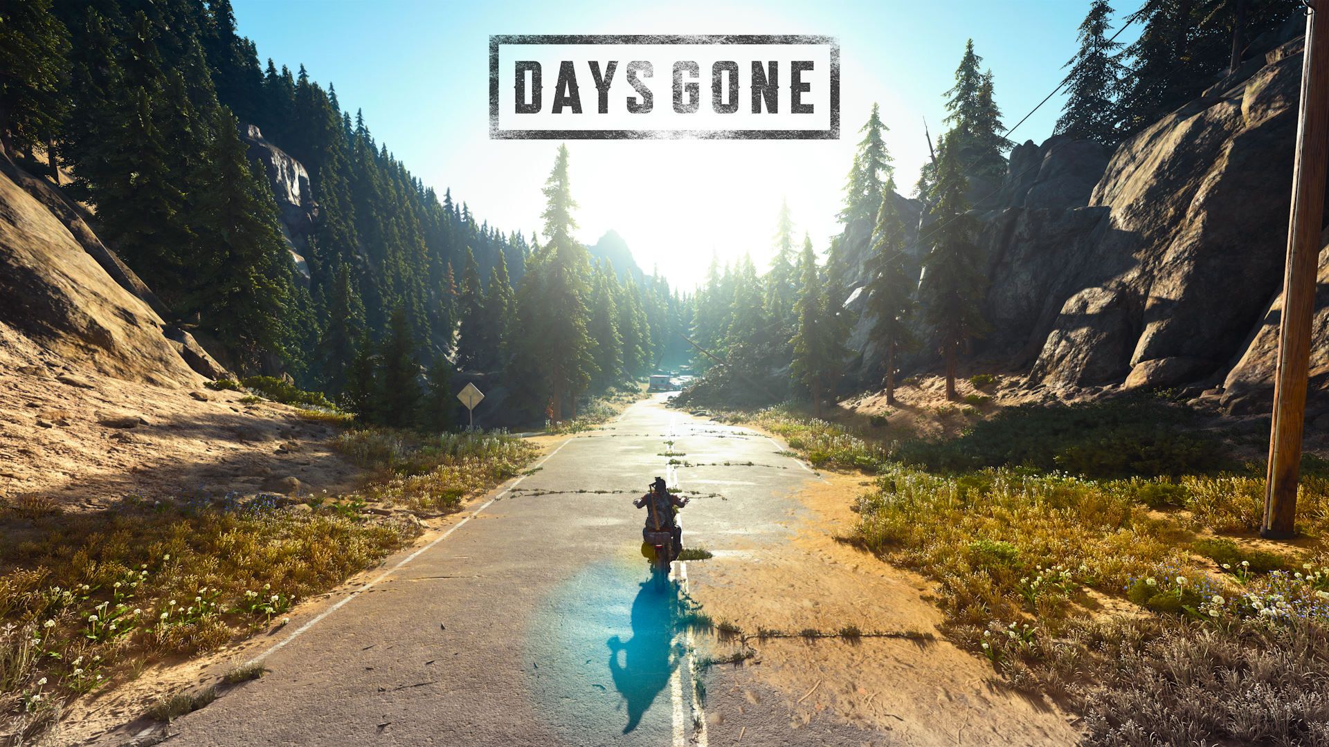 بهترین والپیپرهای بازی Days Gone (دیز گان) برای کامپیوتر و دسکتاپ