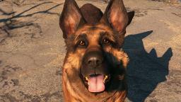سگ داگ‌مت (Dogmeat) با چشمانی قهوه‌ای در محیط بازی ویدئویی