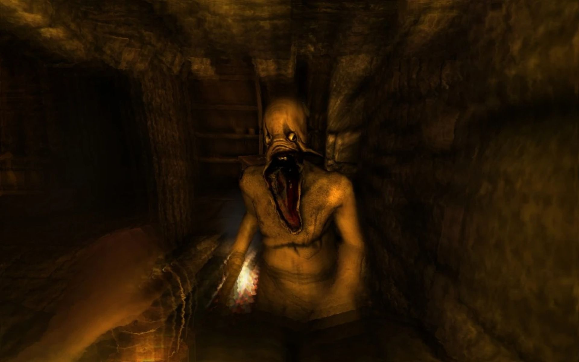 Amnesia: The Dark Descent