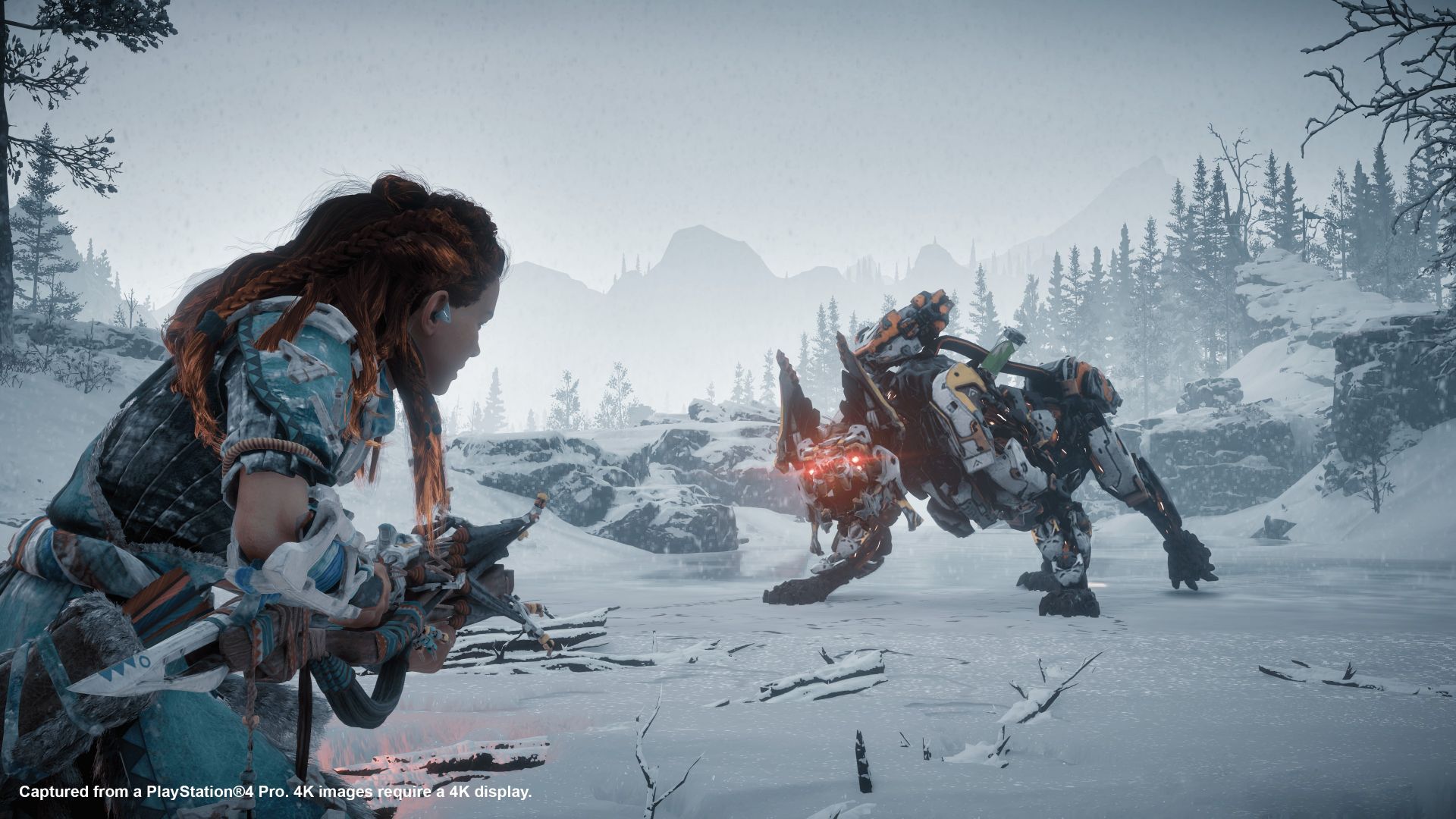 Horizon: Zero Dawn to Forbidden West