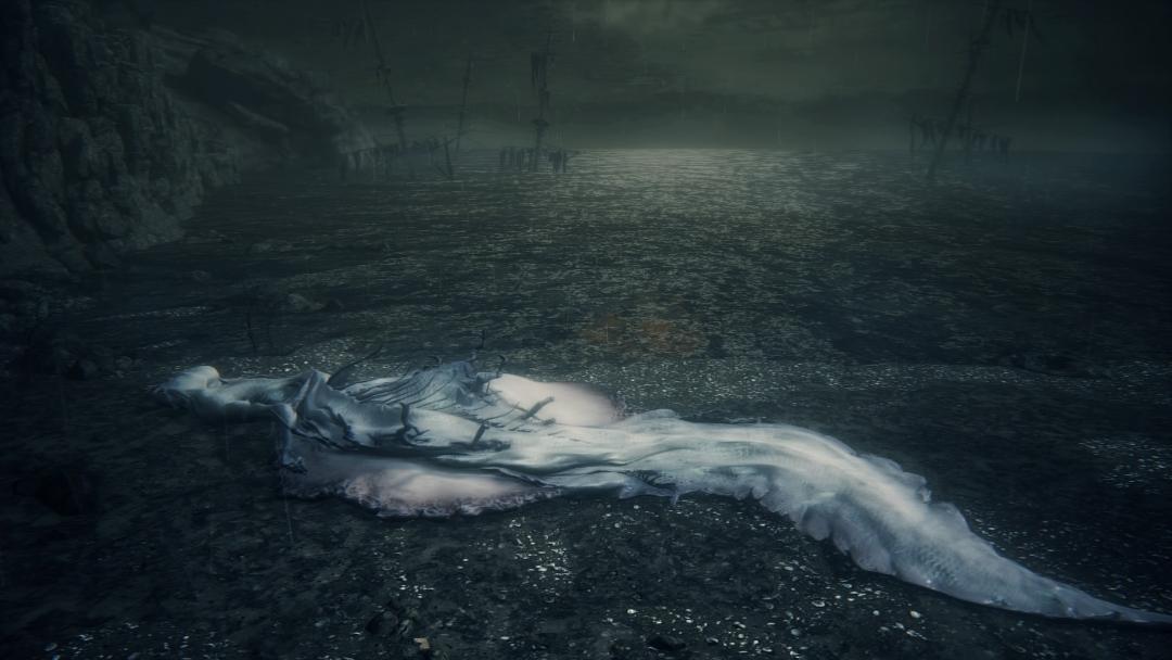 Bloodborne