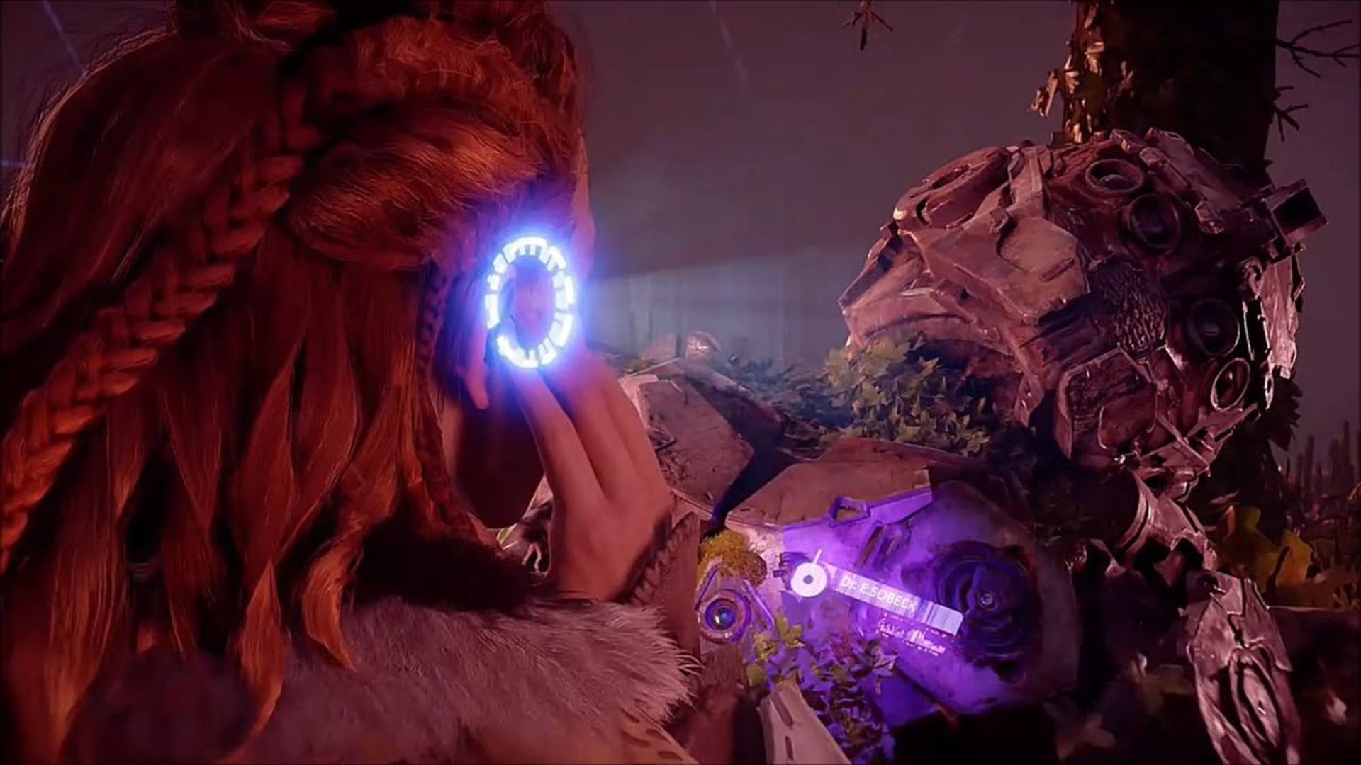 جسد الیزابت سوبک