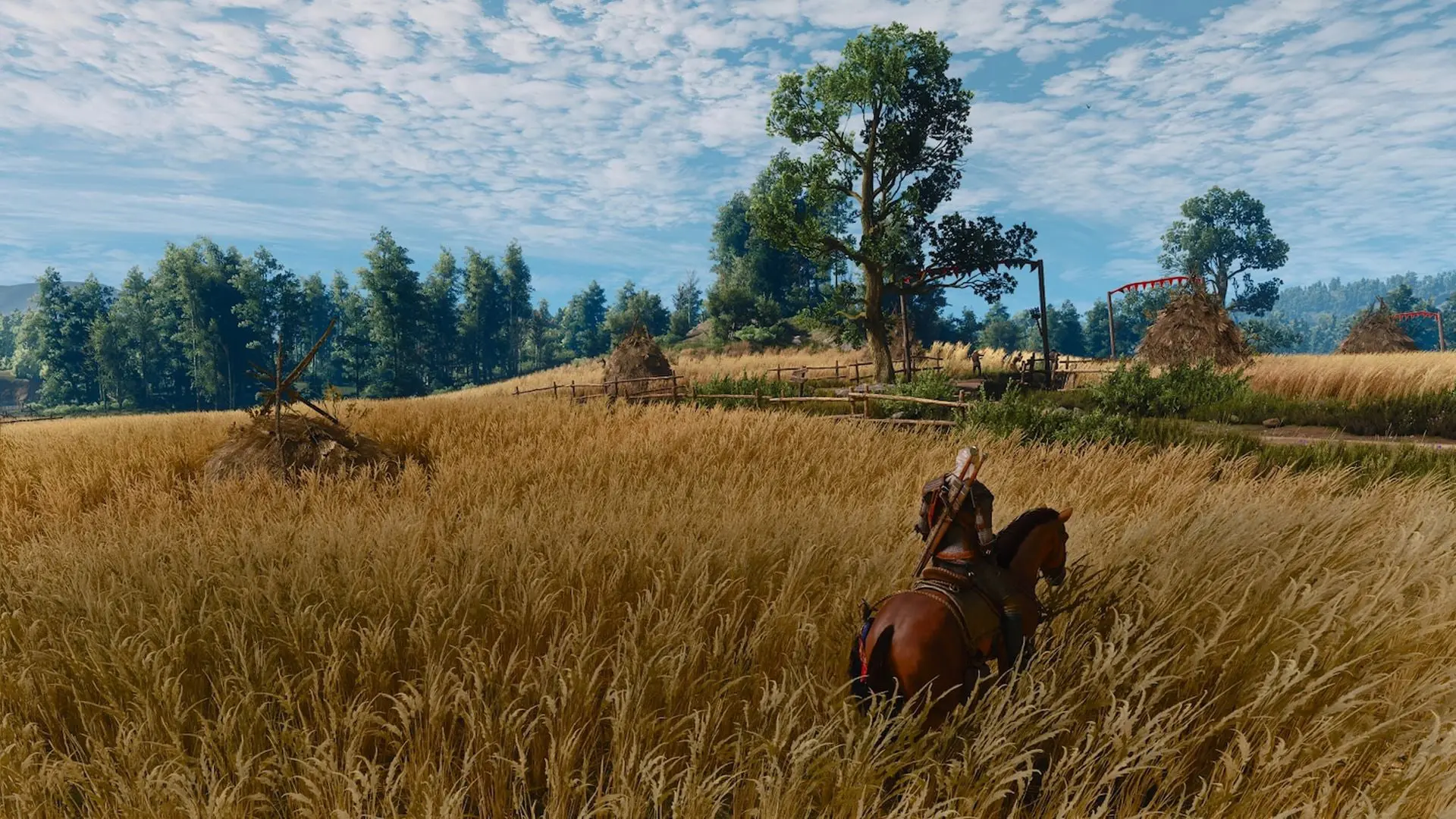 اسب گرالت (Geralt) در میان مزارع گندم در بازی The Witcher 3: Wild Hunt