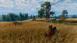 اسب گرالت (Geralt) در میان مزارع گندم در بازی The Witcher 3: Wild Hunt