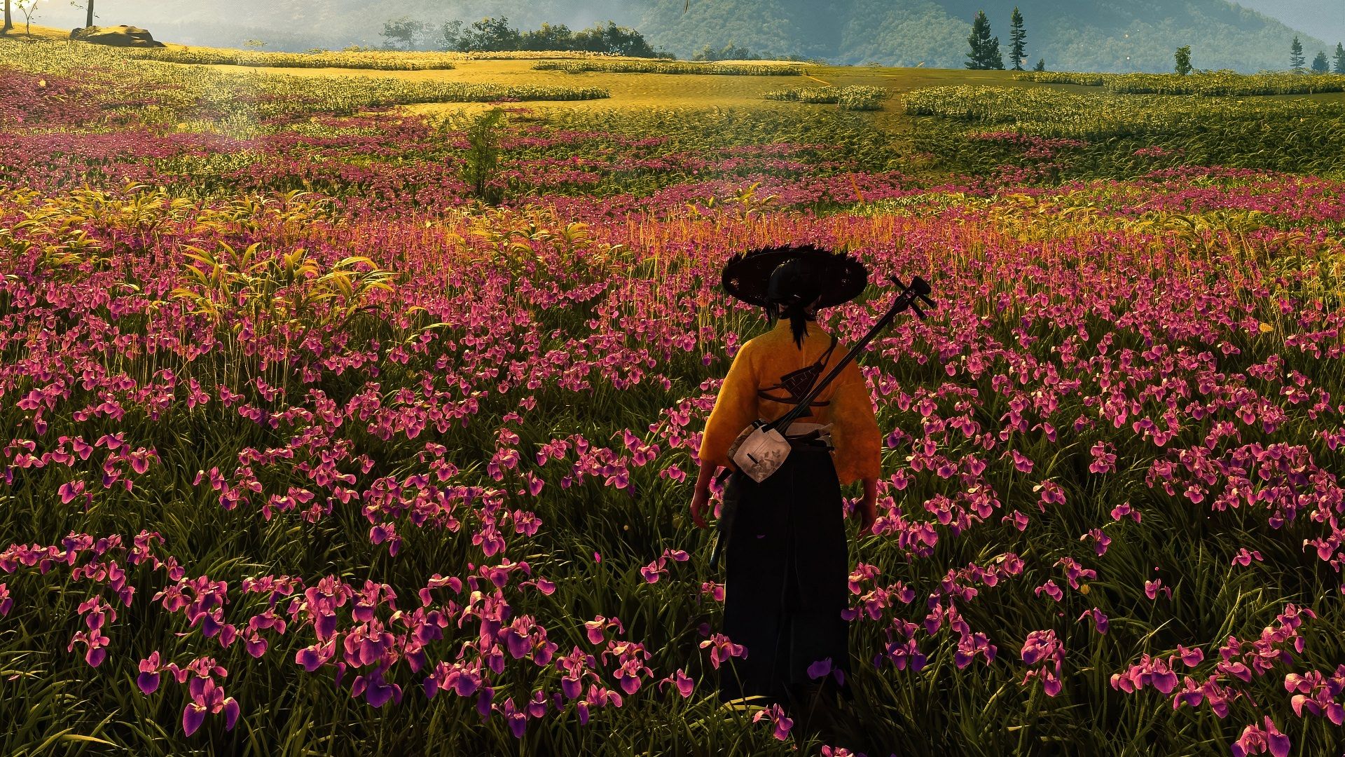 قدم زدن آتسو در دشت گل‌های صورتی در بازی Ghost Of Yotei