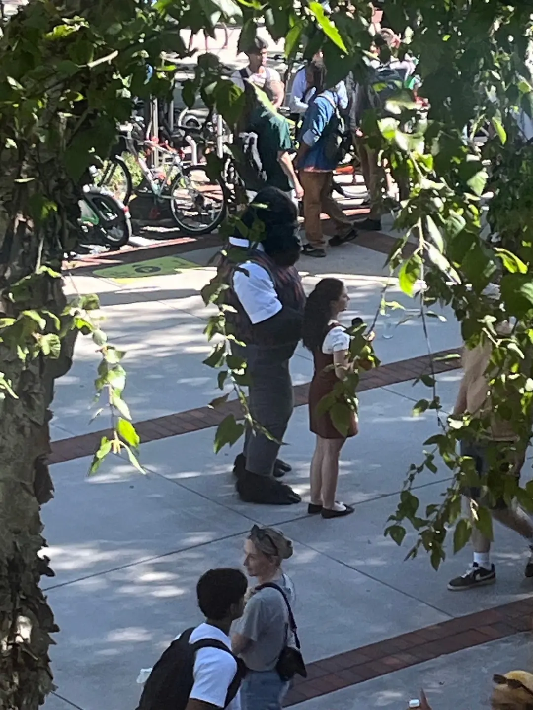 بازیگران و عوامل در محل فیلم‌برداری سریال The People Vs Gorilla Grodd