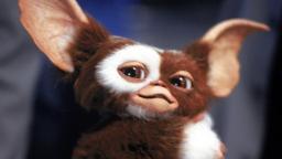 موجود مویی و کوچک فیلم گرملین (Gremlins) با گوش‌های بزرگ