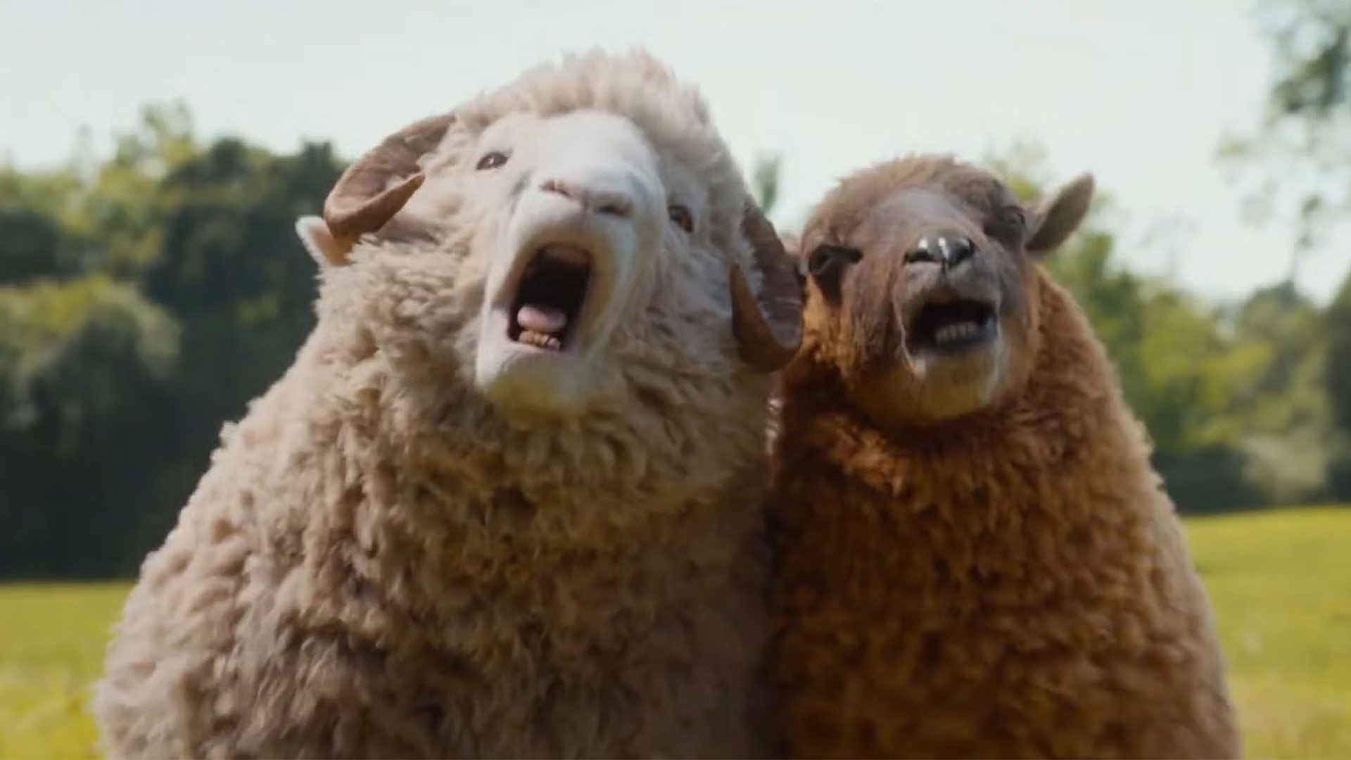 فیلم The Sheep Detectives