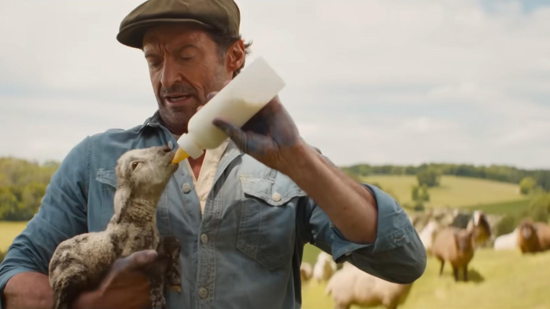 هیو جکمن در فیلم The Sheep Detectives