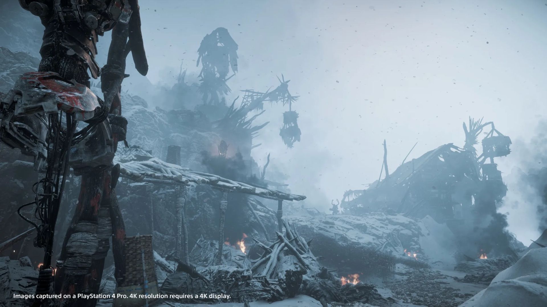 منظره ای در هورایزن زیرو داون