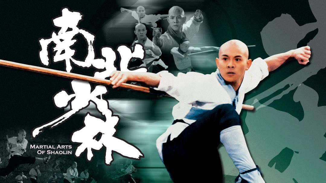 پوستر سینمایی فیلم martial arts of shaolin