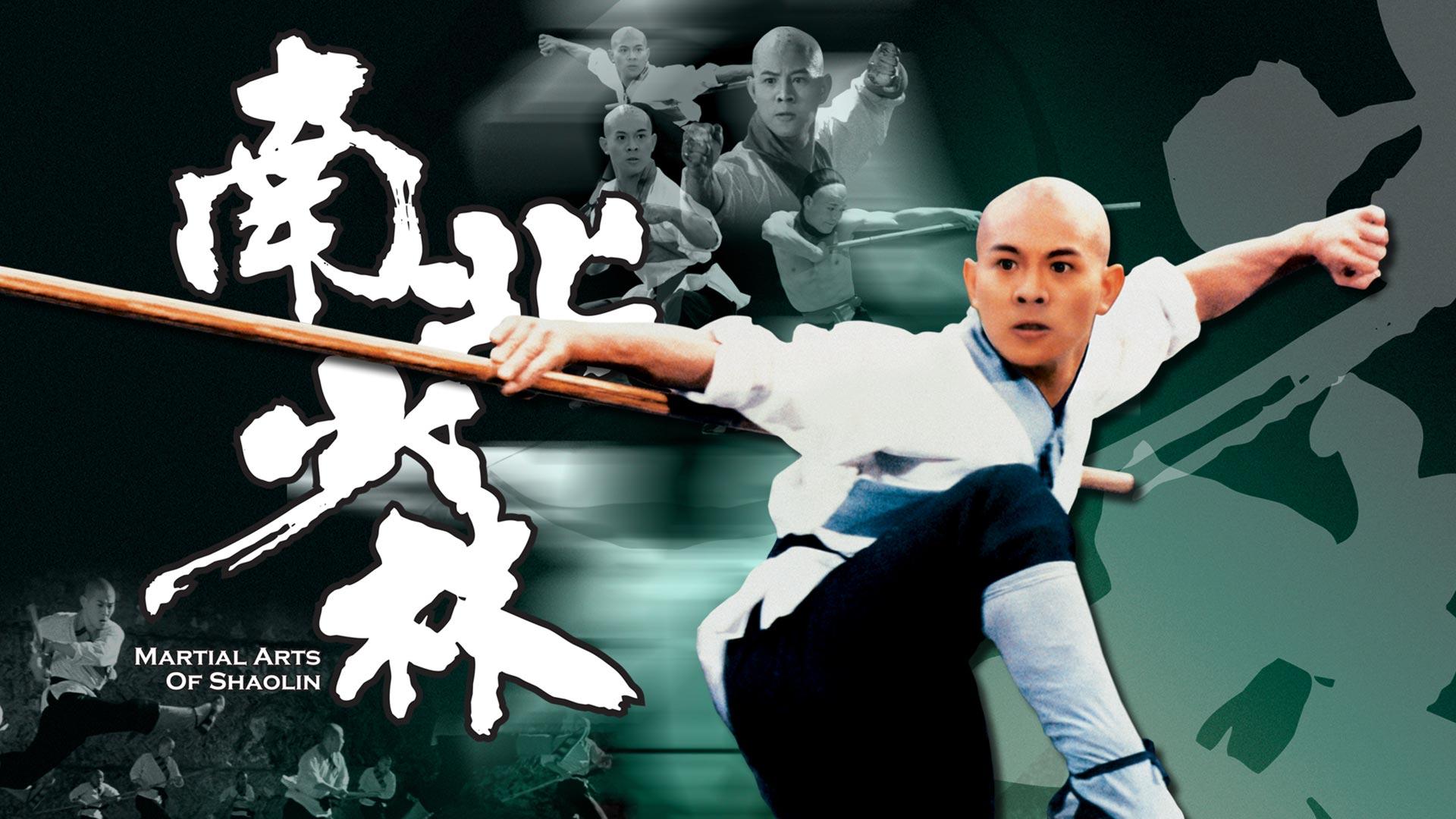 پوستر سینمایی فیلم martial arts of shaolin