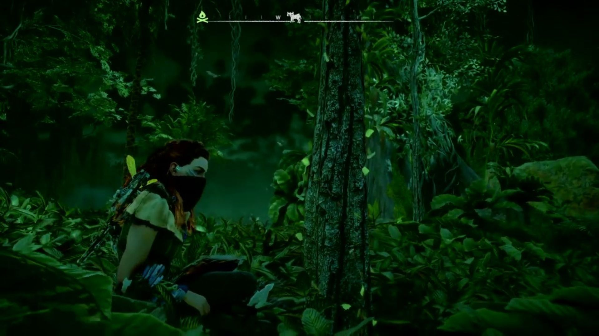 Horizon: Zero Dawn to Forbidden West