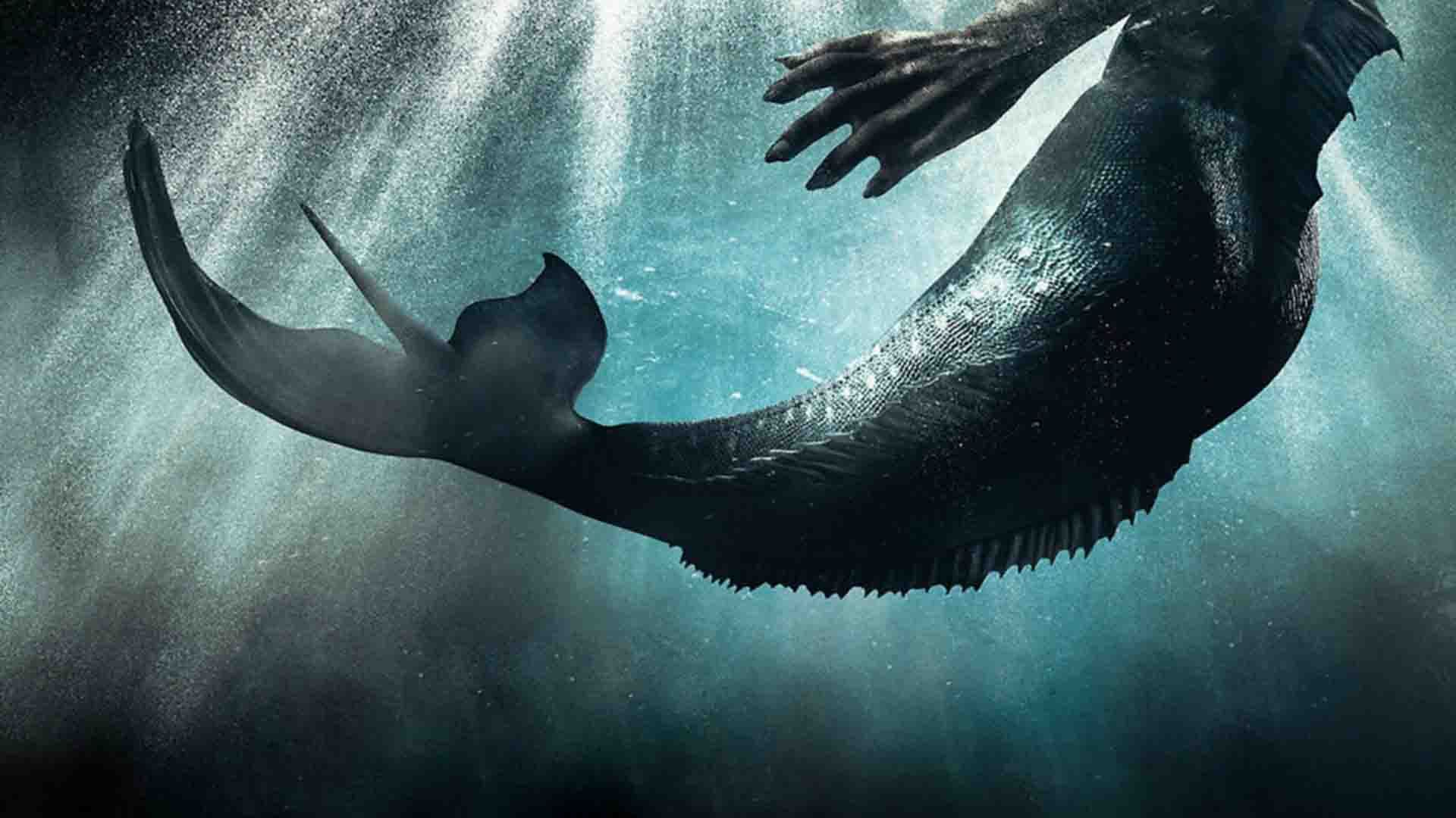 نیم تنه‌ی پایینی بدن پری دریایی