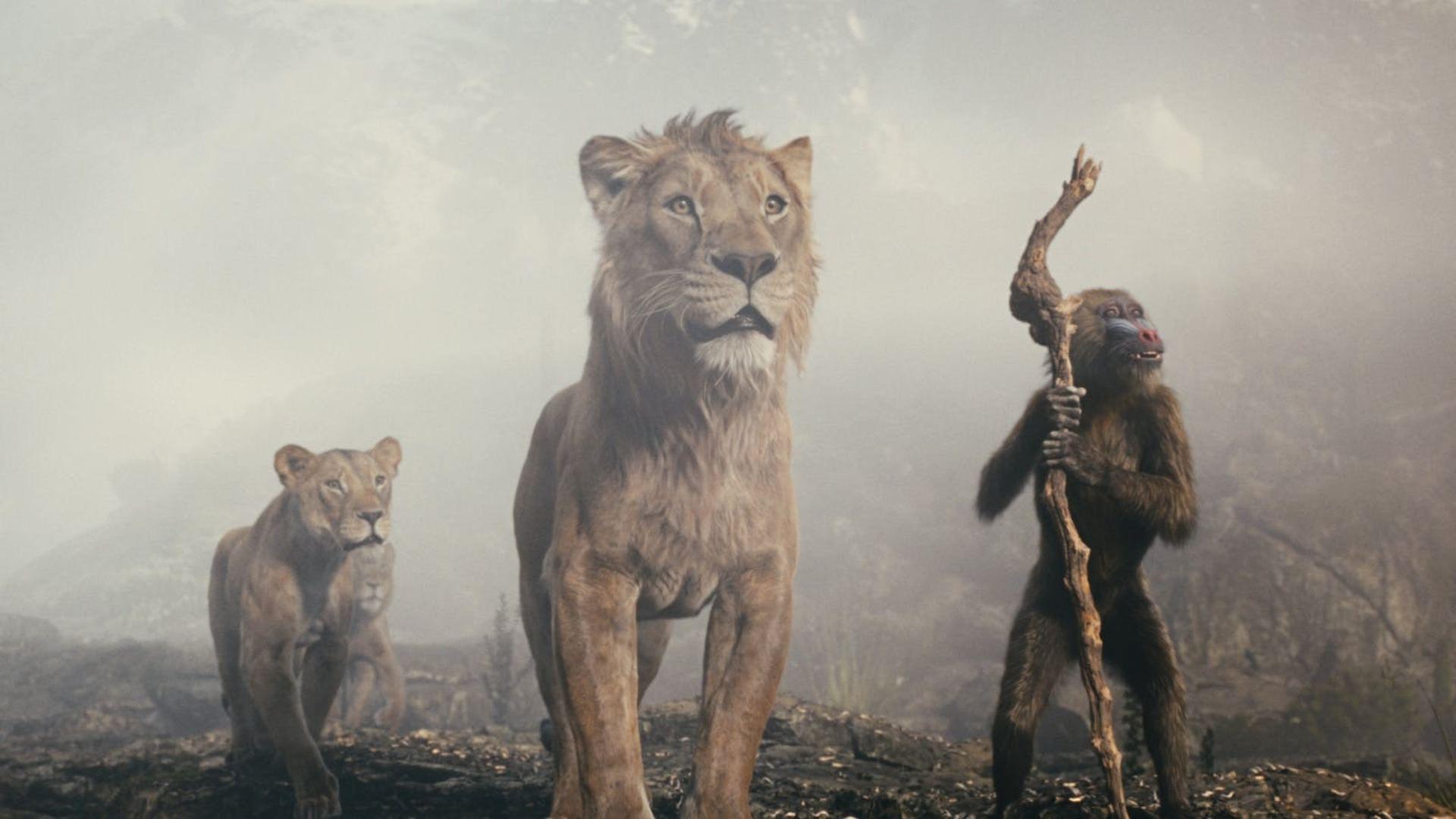 موفاسا و دوستانش در فیلم Mufasa: The Lion King به دره پراید وارد می‌شوند