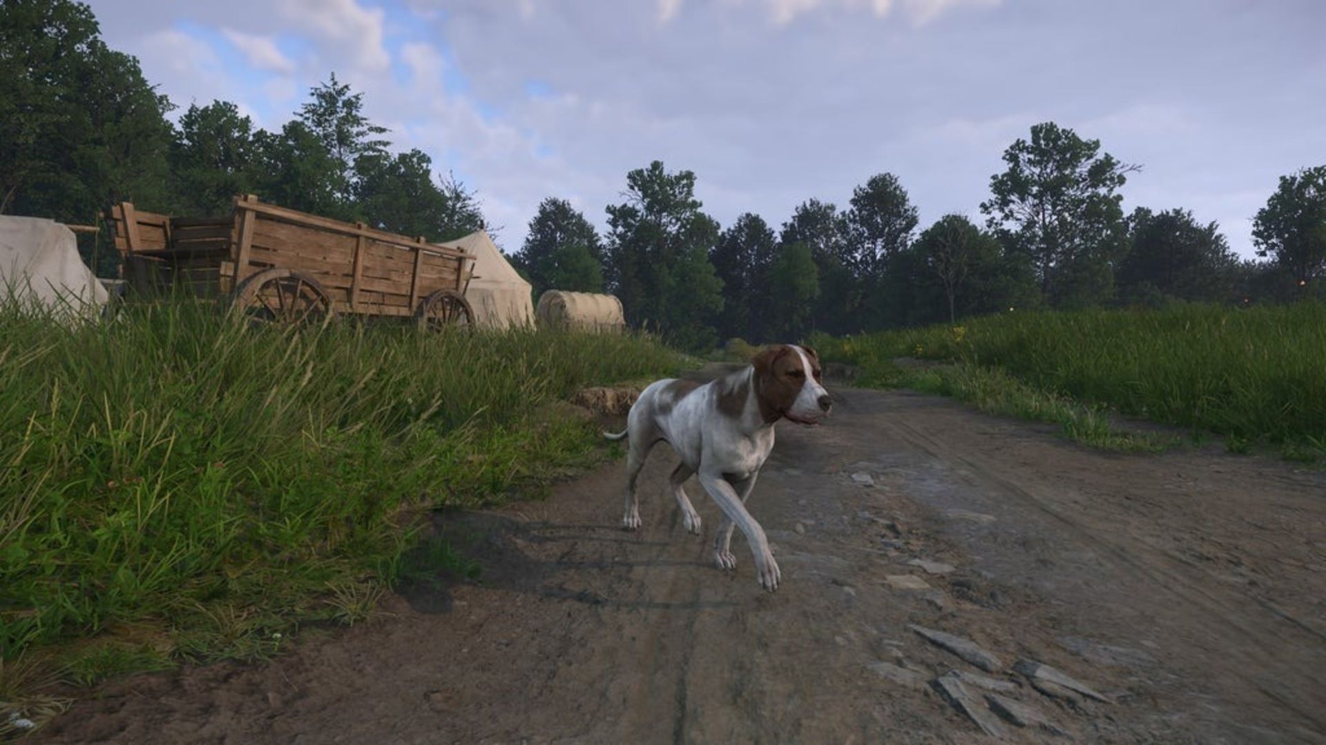 kingdom come deliverance 2 mutt