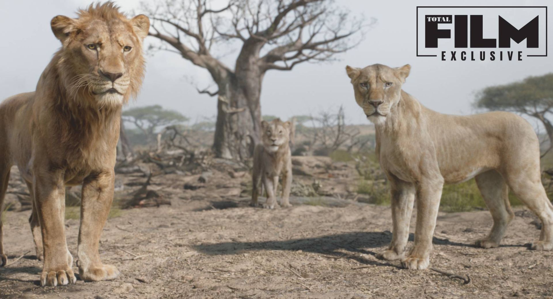 موفاسا، سارابی و تاکا در فیلم Mufasa: The Lion King