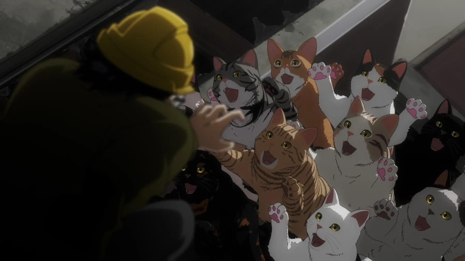انیمه‌ Nyaight of the Living Cat