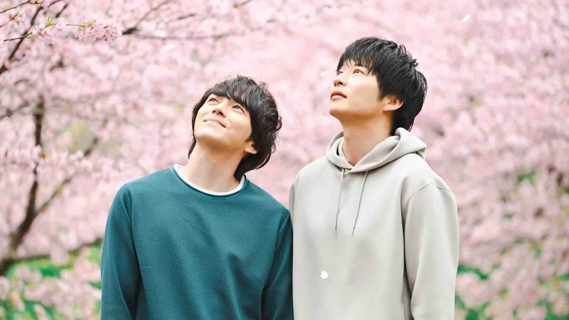 دو بازیگر سریال Ossan's Love Returns در میان درخت‌های صورتی