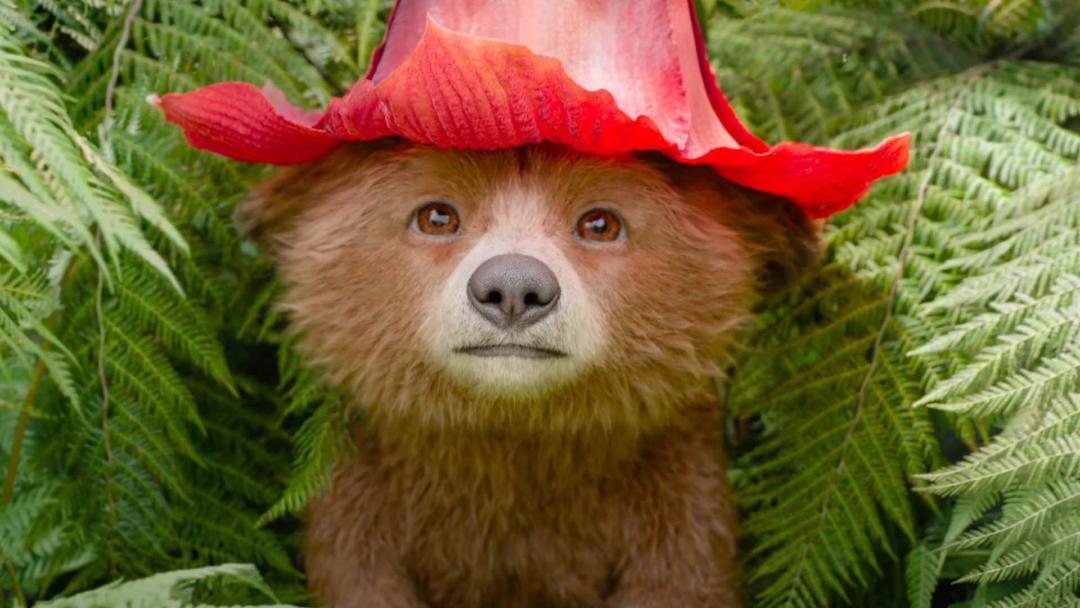 نسخه کودک پدینگتون در فیلم Paddington in Peru