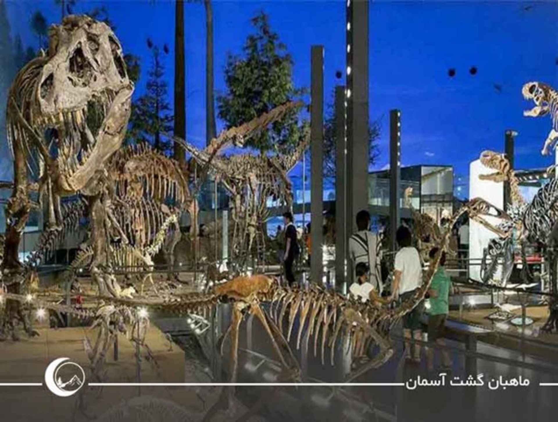 بهترین موزه های ژاپن