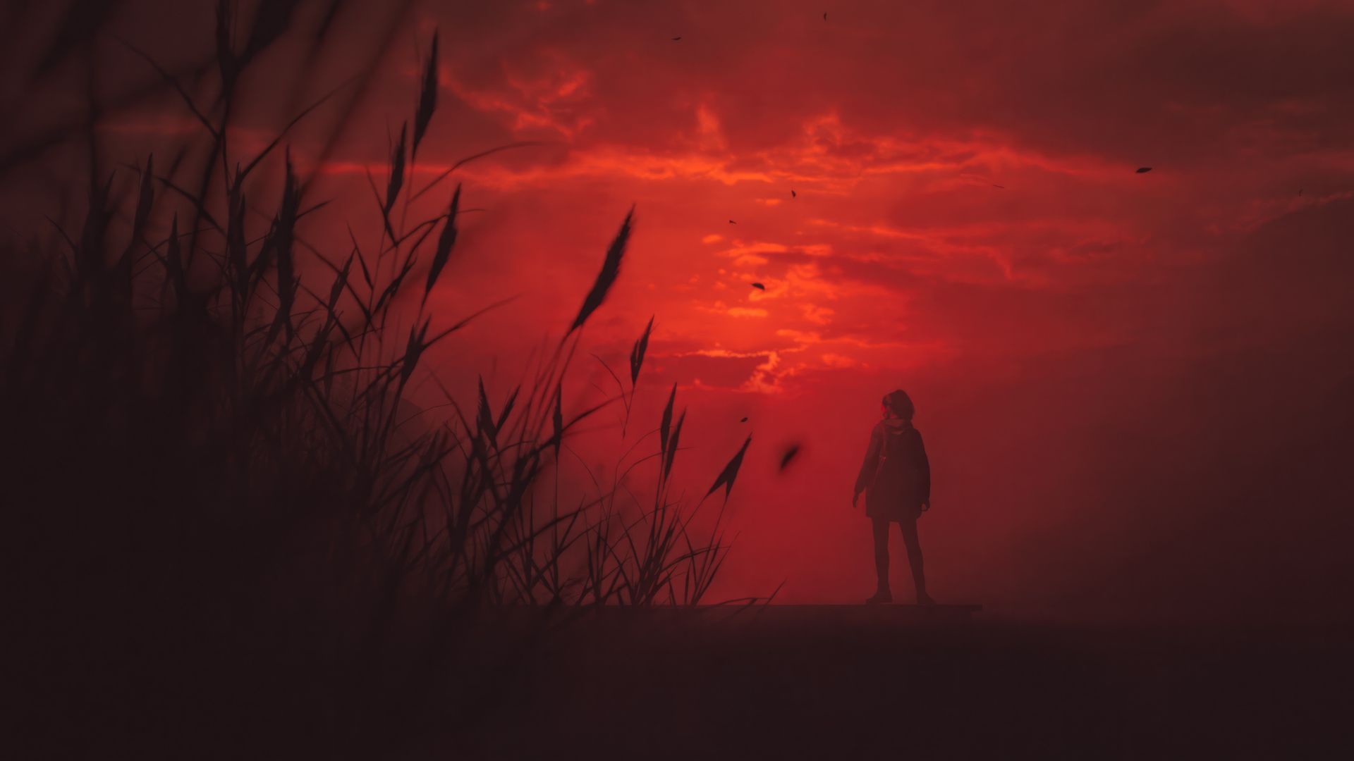 ساگا اندرسون (Saga Anderson) در اتمسفر قرمز بازی Alan Wake 2