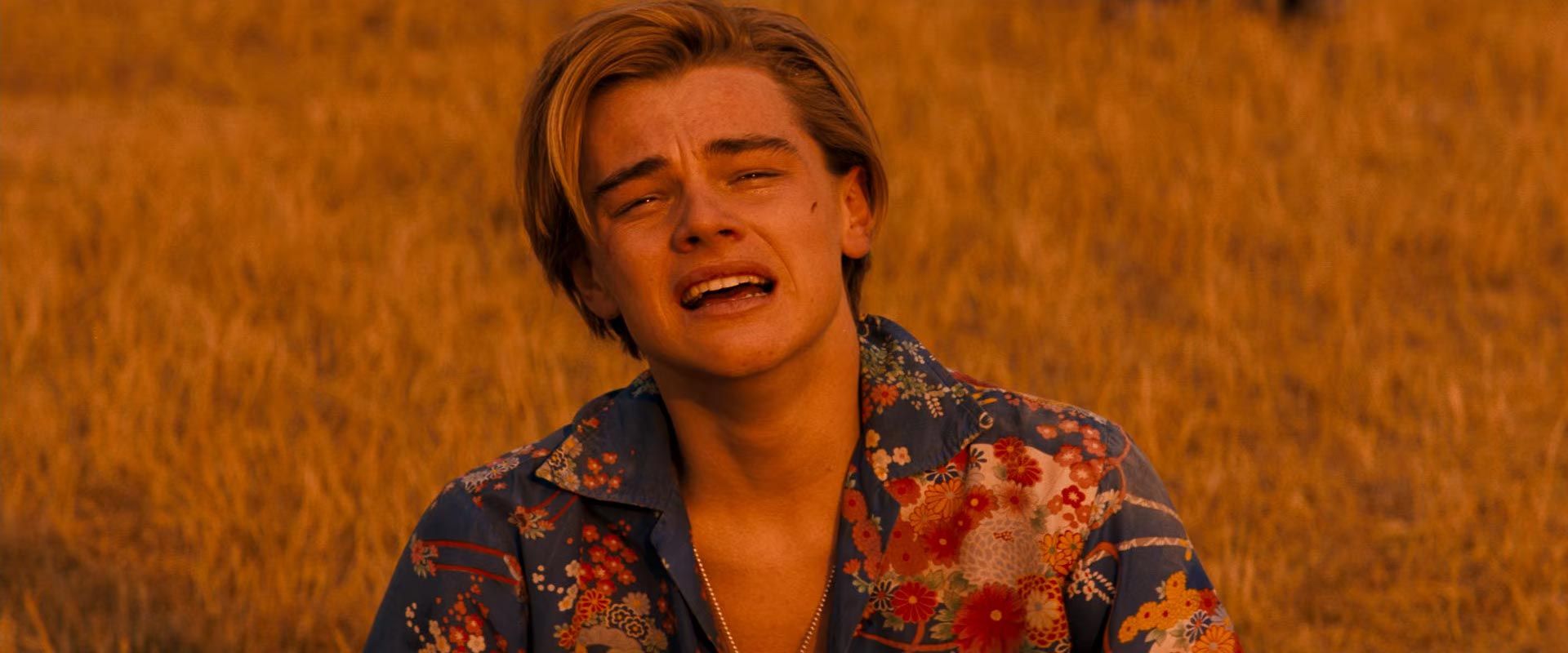 Romeo-+-Juliet_leonardo_is_crying_in_a_field